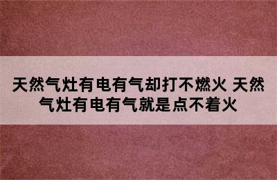 天然气灶有电有气却打不燃火 天然气灶有电有气就是点不着火